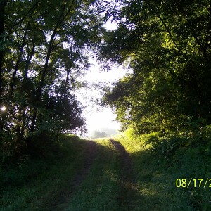 Fundraising Page: Amy Finnegan